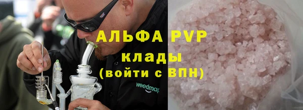стаф Инта