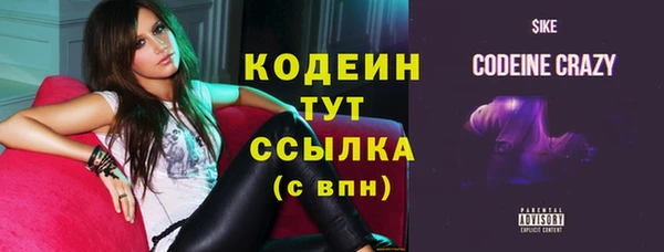 стаф Инта
