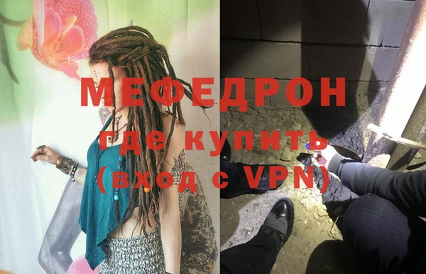 стаф Инта