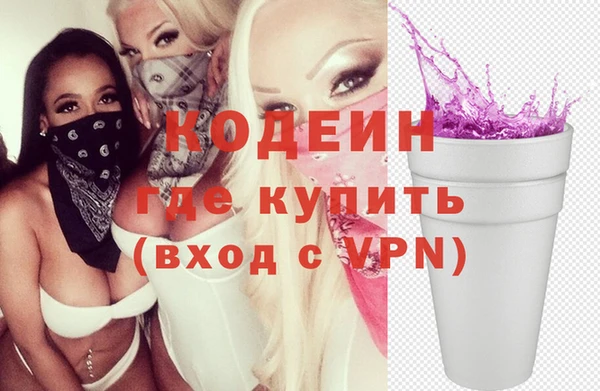 ешки Иннополис