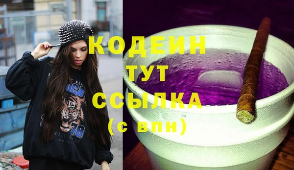стаф Инта