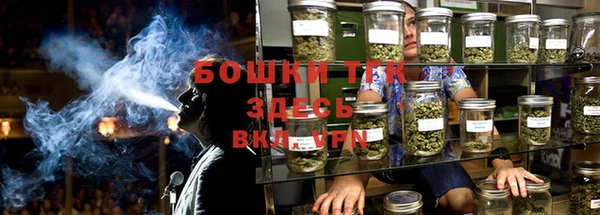 ешки Иннополис