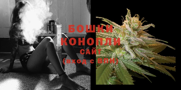 ешки Иннополис