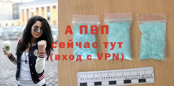 стаф Инта