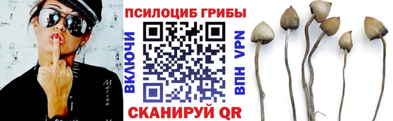 Галлюциногенные грибы Psilocybe  Купить где  Сим 